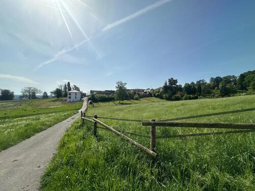 Foto - Gartengrundstück mit Fernblick in Bornheim Merten zu verpachten.
