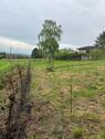 Foto - Grundstück in Bornheim zur Miete