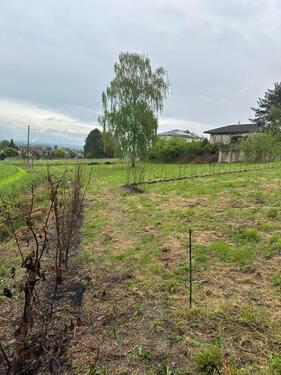Foto - Grundstück in Bornheim zur Miete