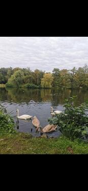 Foto - andere in Berlin