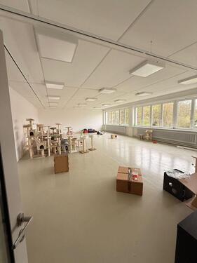 Foto - 