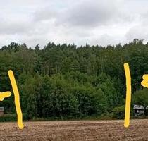 Naherholungsgrundstück im Eigentum Colditzer Forst - Bad Lausick