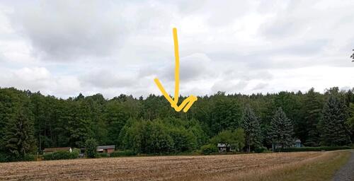 Foto - Einfamilienhaus zum Kaufen in Bad Lausick