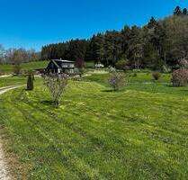 Einfamilienhaus - ehem. Mühle - Alleinlage - 4,5 ha - Simmern/Hunsrück