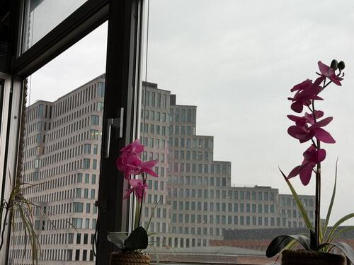 Foto - andere zur Miete in Berlin