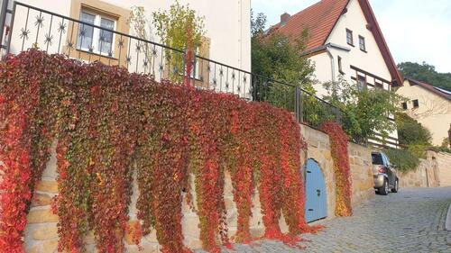 Foto - Einfamilienhaus in Pirna zum Kaufen