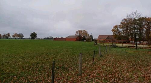 Foto - Einfamilienhaus in Wagenfeld zum Kaufen