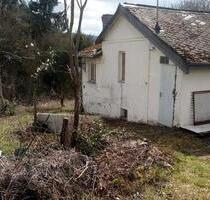 Wochenendhaus - 58.000,00&nbsp;EUR Kaufpreis, ca.&nbsp; 45,00&nbsp;m&sup2; in Osburg (PLZ: 54317)