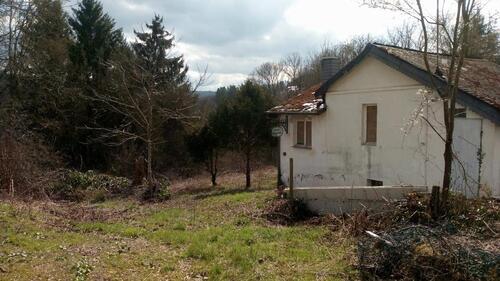 Foto - 3 Zimmer Einfamilienhaus in Osburg