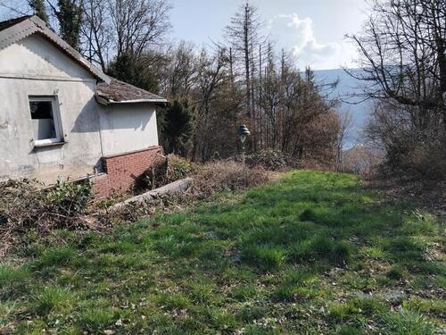 Foto - Einfamilienhaus in Osburg zum Kaufen