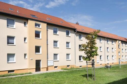 Foto - Selbst renovieren und Miete sparen