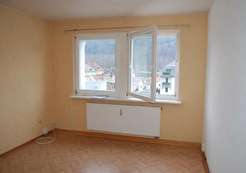 Foto - 1 Zimmer Etagenwohnung zum Kaufen in Bad Schandau
