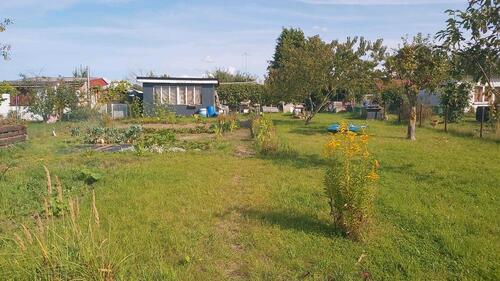 Foto - Kleingarten abzugeben in Greifswald