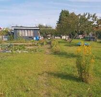 Kleingarten abzugeben in Greifswald