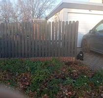 Garagenvermietung Suepplingen - 100,00&nbsp;EUR Miete, in Süpplingen (PLZ: 38373)