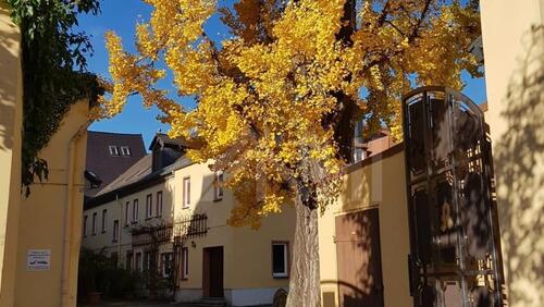 Foto - Etagenwohnung in Grimma zur Miete