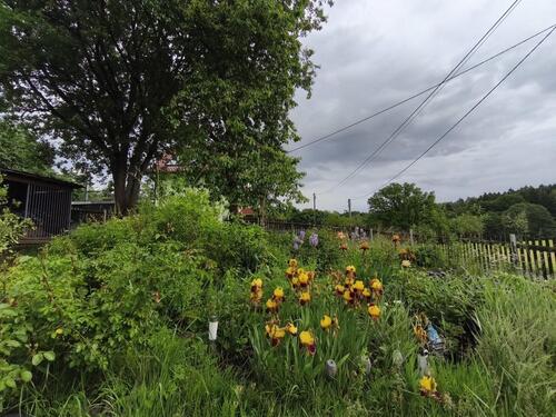 Foto - Doppelhaushälfte in Rodewisch zum Kaufen