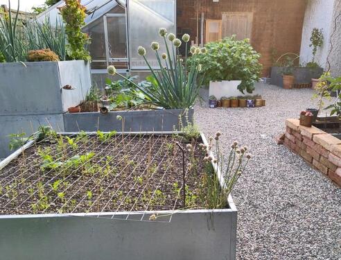 Foto - 7 Zimmer Einfamilienhaus zum Kaufen in Kraiburg am Inn