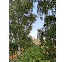 Gemütliche 2-Zimmer-Wohnung in Sittendorf am Fuße des Kyffhäuser - Kelbra (Kyffhäuser)