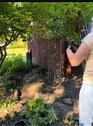 Foto - Grundstück in Bentwisch zur Miete