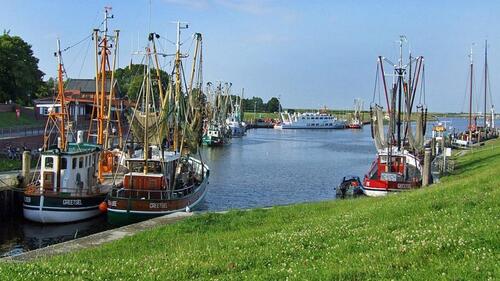 Foto - Ferienwohnung in Ostfriesland Detern