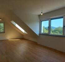 Erstbezug Wohnung Dachgeschoss Schweinheim - Aschaffenburg Gailbach