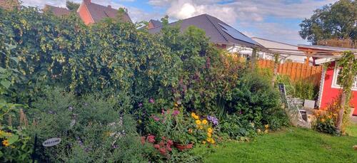 Foto - Einfamilienhaus in Hude (Oldenburg) zum Kaufen