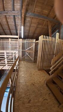 Foto - andere in Holzkirchen zur Miete