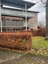 Foto - Wohnung in Laxten zu vermieten - 700,00 EUR Kaltmiete, ca.  90,00 m²