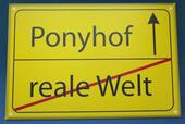 Foto - Lastminute bis 4Personen! Ponyhof - Hunde willkommen! 21.-28.03.