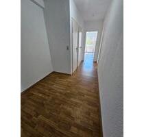 Schöne 2-Zimmer Erdgeschoss Wohnung mit Einbauküche, Balkon TRAUM - Wuppertal Brill