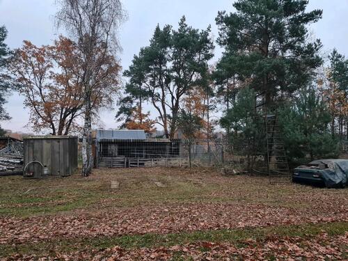 Foto - andere in Bautzen