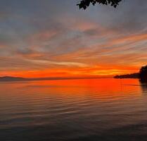 Helle 2-Zi-Wohnung mit neuer Küche - MOVE IN AND BE HAPPY!!! - Leipzig Nordost