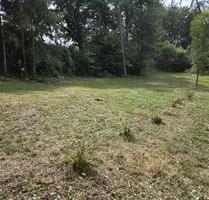 Freizeit-Gartengrundstück am Waldrand zu verpachten - Elz