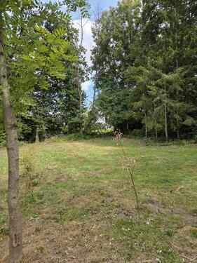 Foto - Grundstück in Elz