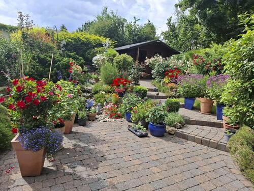 Foto - 7 Zimmer Einfamilienhaus in Melle