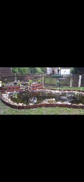 Foto - Mehrfamilienhaus, Wohnhaus zum Kaufen in Bad Harzburg