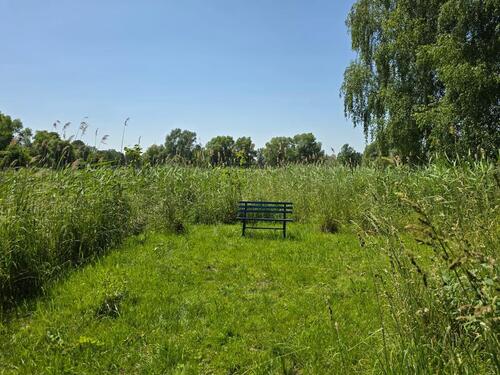 Foto - Grundst&uuml;ck in Neustadt (Dosse)