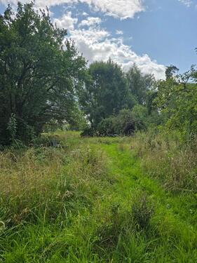 Foto - Grundst&uuml;ck in Neustadt (Dosse) zur Miete
