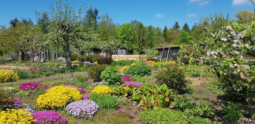 Foto - Garten Kleingarten Südstadt Damerower Weg Pachtgarten