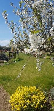 Foto - Grundst&uuml;ck in Rostock