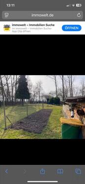 Foto - Einfamilienhaus in Ronneburg zum Kaufen