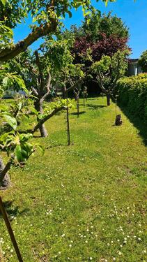 Foto - Grundst&uuml;ck in Greifswald