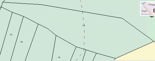 Foto - Wald Grundstück - 5,00 EUR Kaltmiete, ca.  0,00 m²