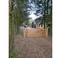 Haus mit großem Grundstück am Wald zu verkaufen - Süderlügum