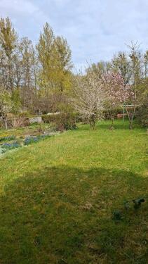 Foto - Grundst&uuml;ck in Schwerin zur Miete