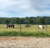 Pferdehof in Bodensee Nähe - 950.000,00&nbsp;EUR Kaufpreis, ca.&nbsp; 240,00&nbsp;m&sup2; in Illmensee (PLZ: 88636)