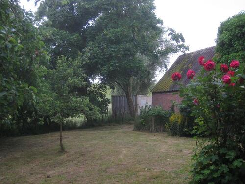 Foto - Bauernhaus, Landhaus in Krummhörn zum Kaufen