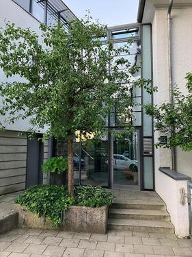 Foto - andere in München