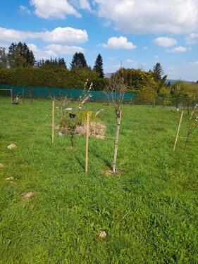 Foto - Grundst&uuml;ck in Oberursel (Taunus)